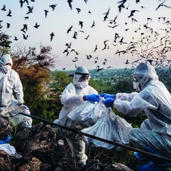 BLAME by Christian Frei - Official Press Photo - Credit Adam Dean for Christian Frei Filmproductions - Less 4 MB