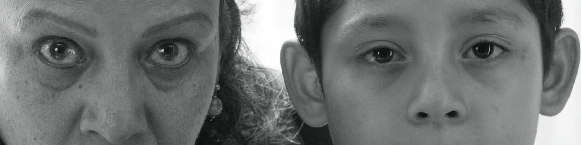 moscas3