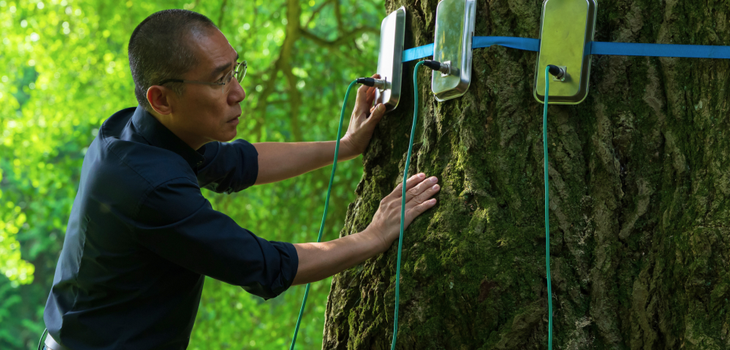 Silent Friend 2.cf2af616