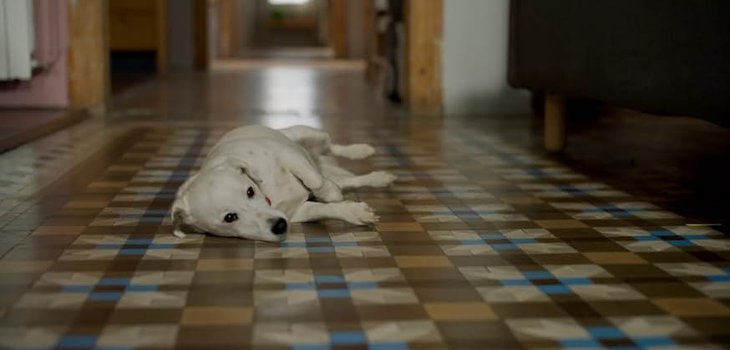 Stories-Not-To_Be-Told_04