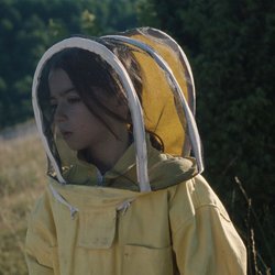 abejas_01