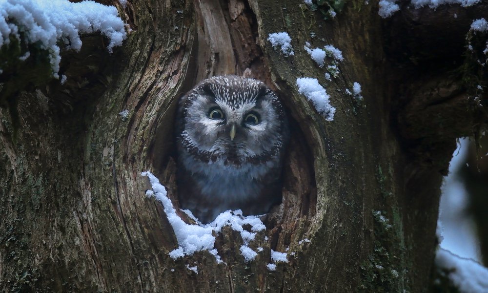 chantdesforets_filmstill3_photo-vincentmunier_uid_6900bda6e8742