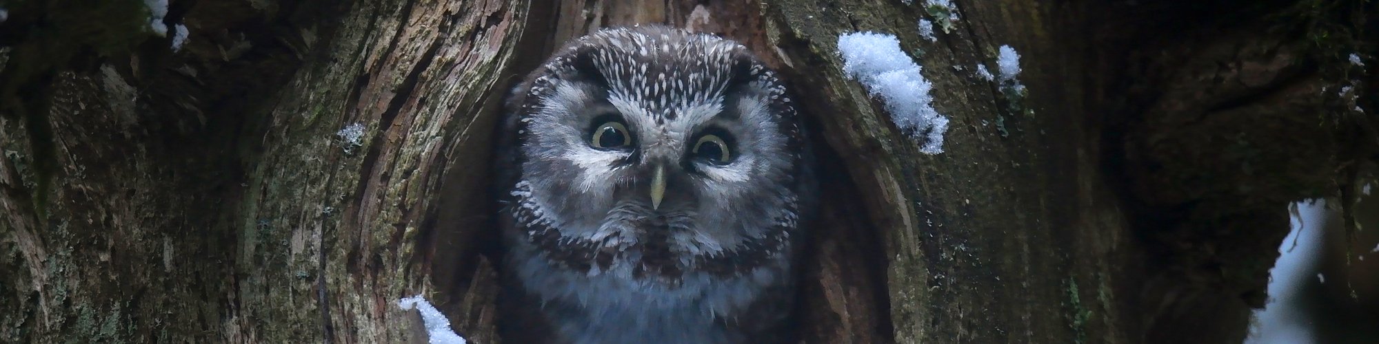 chantdesforets_filmstill3_photo-vincentmunier_uid_6900bda6e8742