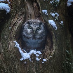 chantdesforets_filmstill3_photo-vincentmunier_uid_6900bda6e8742