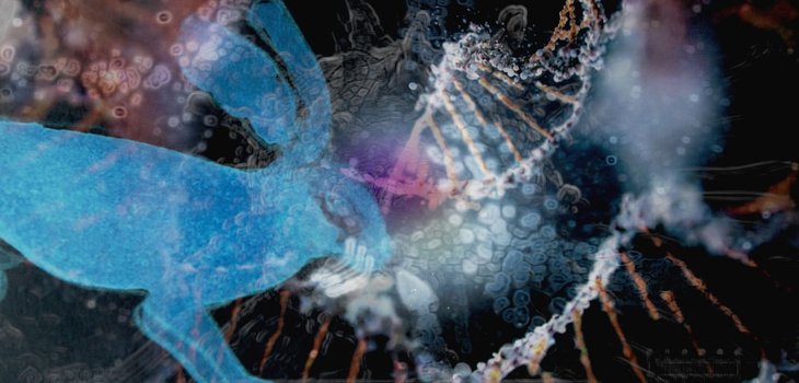 mettlerWTGGG+-+PART+6+rabbit+dna